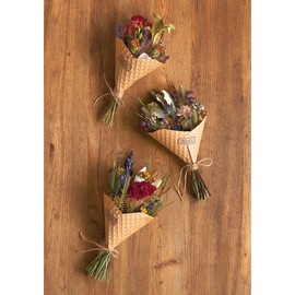 Earth Farms Dry Flower N Approximately/1 cm Set of Cinnamon Mini do021070 – 000 G