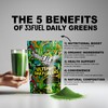 33Fuel 33Fuel Daily Greens Powder - Premium Superfood & Fibre