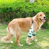 Harikaji Dog Elbow Protector, Elbow Sleeves with Mesh Pad for