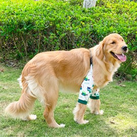 Harikaji Dog Elbow Protector, Elbow Sleeves with Mesh Pad for Medium Large Dogs Prevent Licking Wound(Car,L)