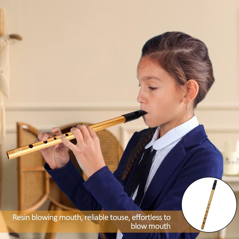 Tin Whistles, Penny Whistle Six-Hole Tin Whistle D, D-Shaped Instrument