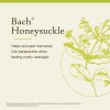 Bach Flower Remedies Honeysuckle Embrace the Now Emotional Wellness 20ml
