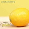 ACEITE ESENCIAL LIMON ARGENTINO 30 ML. GRADO TERAPEUTICO