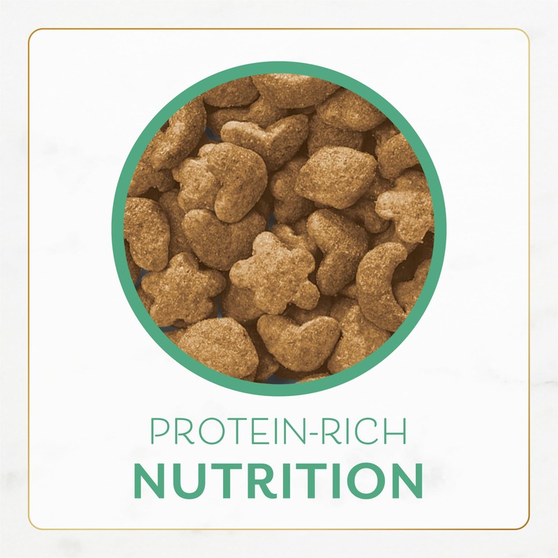 Purina Fancy Feast Dry Cat Food with Ocean Fish and