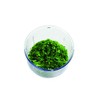 Chef'n Vegetable Chopper VeggiChop in Green/White, Stainless Steel 11.5 x