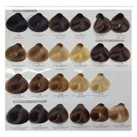 Alfaparf Milano Tinte 60ml Con Perox De Regalo