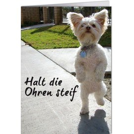 modern times Funny Greeting Card 11.5 x 16 cm + Square Design