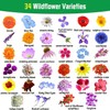 Breoudo 10000+ Mix Wildflower Seeds Bulk Package 34 Varieties Perennial