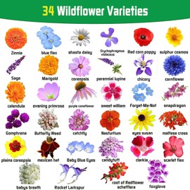 Breoudo 10000+ Mix Wildflower Seeds Bulk Package 34 Varieties Perennial Packet...