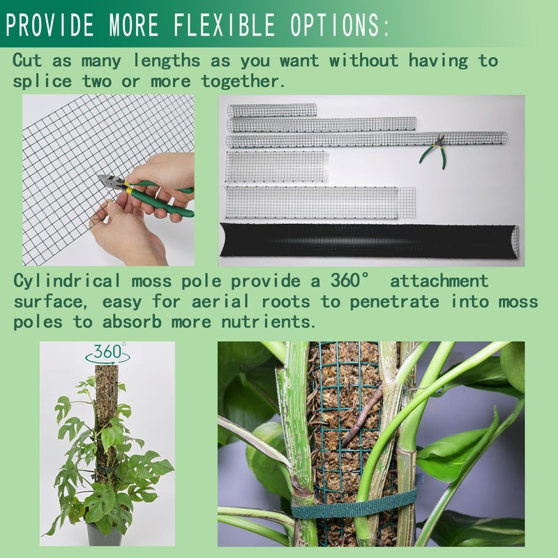 10ft/20ft/40ft DIY Metal Mesh Sphagnum Moss Pole Monstera Plant Support
