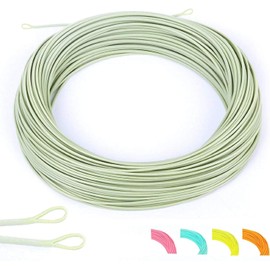 MAXIMUMCATCH Maxcatch Double Taper Floating Fly Fishing Line: DT1F-8F,100F in 3 colors (Moss green with 2 welded loops, DT2F)