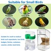 Hamiledyi No Mess Bird Feeders Water Dispenser Set Automatic Parakeet