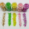 s High Flash Spring Holographic Solvent Resistant Chunky Glitter 24