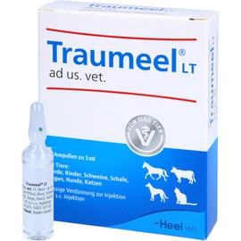 Traumeel LT ad us.vet ampoules 5 x 5 ml