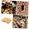 CIYODO 50pcs Bee Tubes for Beekeepers Natural Phragmite Habitat Easy
