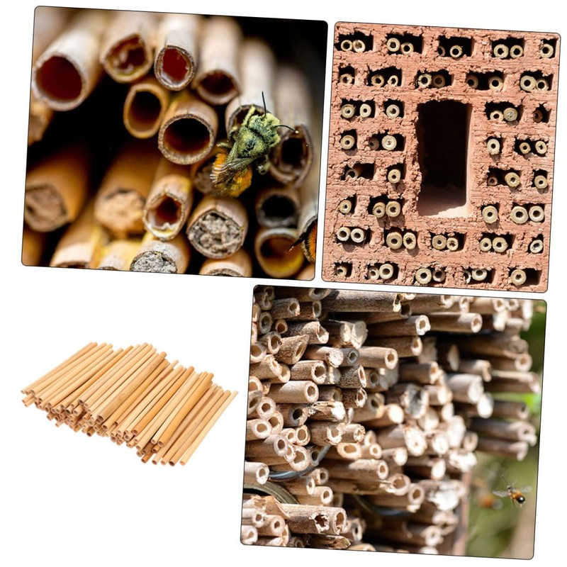 CIYODO 50pcs Bee Tubes for Beekeepers Natural Phragmite Habitat Easy