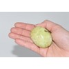 Nature's Enlightenment 68g Green Opal Crystal -Reiki, Healing, Meditation, Crystal