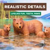 Terra by Battat – Realistic Brown Bear Family Set –