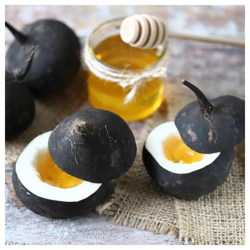 Everwilde Farms - 1/4 Lb Black Spanish Round Radish Seeds