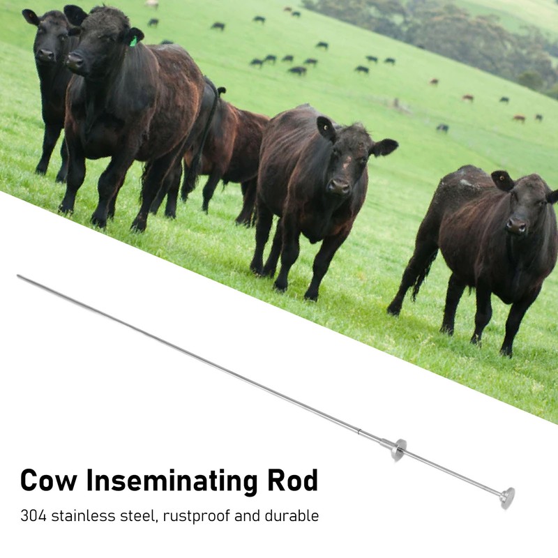 Cow Inseminating Rod 304 Stainless Steel Artificial Animal Breeding Tool