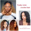 Yanky Twist Crochet Hair, PILLUGER Yaki Twists Hair Micro Spring