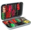 100pcs Fly Fishing Flies Kit Dry Wet Fly Fishing Flies