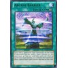 YU-GI-OH! - Arcane Barrier - Green (DL14-EN014) - Duelist League 14 - Unlimited Edition - Rare
