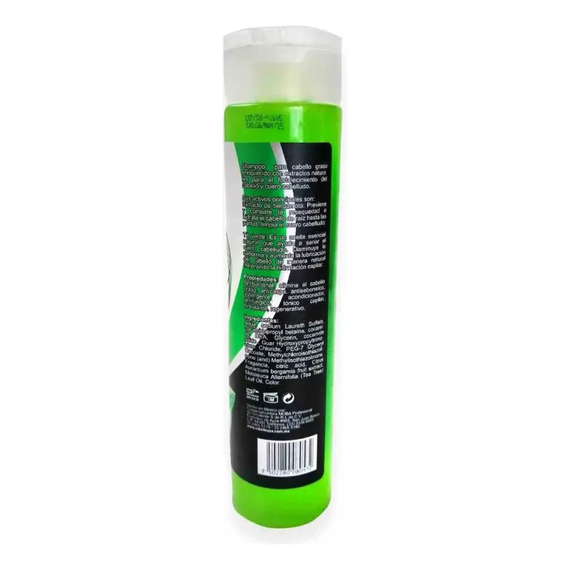 Shampoo Fortalecimiento Bergamota Y Te Verde In Bellezza