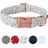 Unique Style Paws Dog Collar Adjustable Collars or Dog Leads