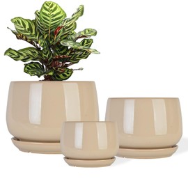 GDSZJLJ Ceramic Indoor Pots for Plants,9.1+7.5+5.9 Inch Set of 3,Flower Pots with Drainage Holes and Saucers,Planters Pot with Hole Mesh Pad,Large Planters for Indoor Plants,Gift for Mom,Beige