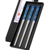 TINMARDA Metal Chopsticks Reusable 3 Pairs Stainless Steel Chopsticks Titanium