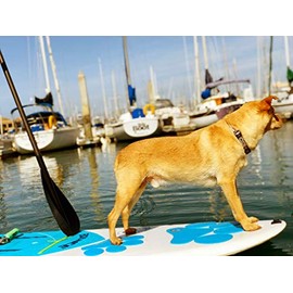 Better Surf than Sorry Pup Deck Dog Traction pad (Blue)