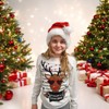 Ciffre Set of 2 Christmas Hats Santa Hat Classic Simple