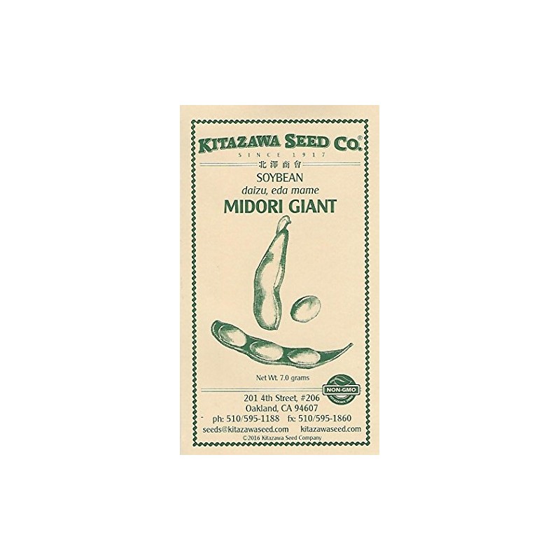 Soybean Midori - Giant - 7.0 Grams