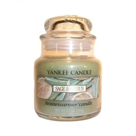 Yankee Candle Sage & Citrus Small Jar Candle, Fresh Scent