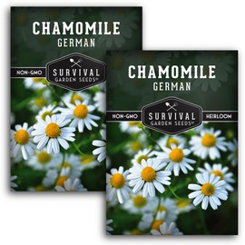 German Chamomile Seeds for Planting – Heirloom Tea Herb & Edible Flower – Non-GMO Matricaria chamomilla for Wellness Gardens – Survival Garden Seeds (2 Pack)
