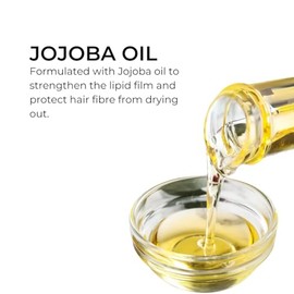PHYTO Phytojoba