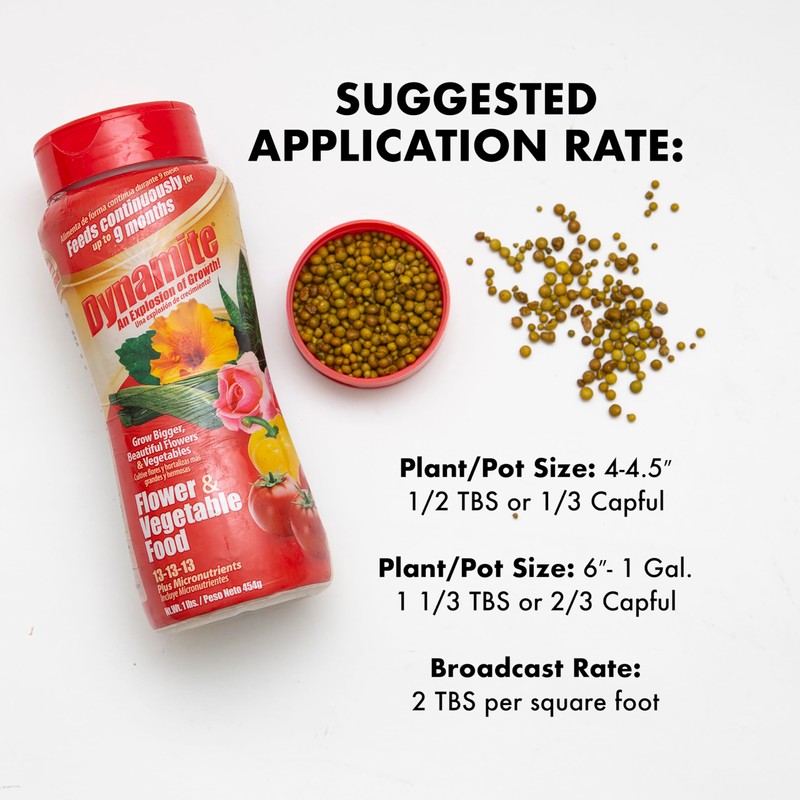 Dynamite Complete Plant Food Flower & Vegetable1 lb