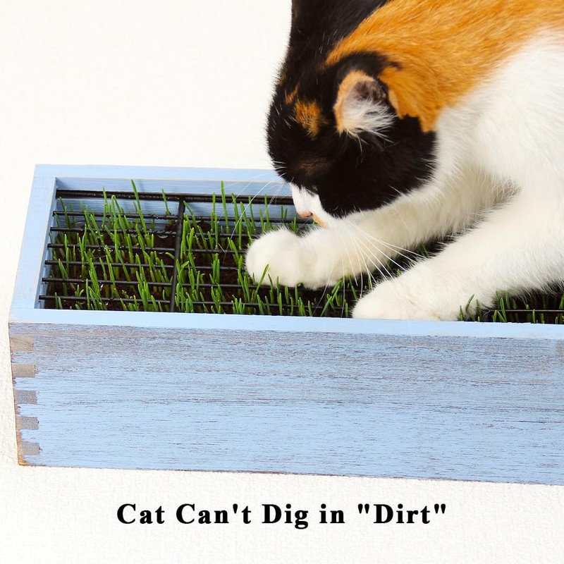 BENPIN Wooden Cat Grass Planter (no Seeds Included) with Anti