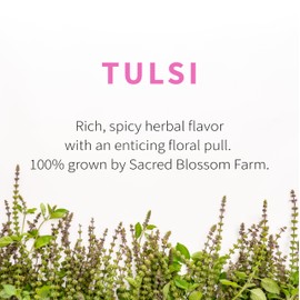 Tulsi Herbal Tea (Holy Basil) | Sacred Blossom Farm | 1.7 oz. Loose Leaf | Ease Stress Renew Enaergy* | Minimally Processed Wisconsin-Grown Medicinal Herbs | Caffeine Free | Handmade in USA