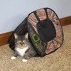 SportPet Designs Cat Carrier With Zipper Lock- Foldable Travel Cat