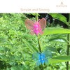 BEADNOVA Butterfly Orchid Support Clips - 30 Pack in Mixed