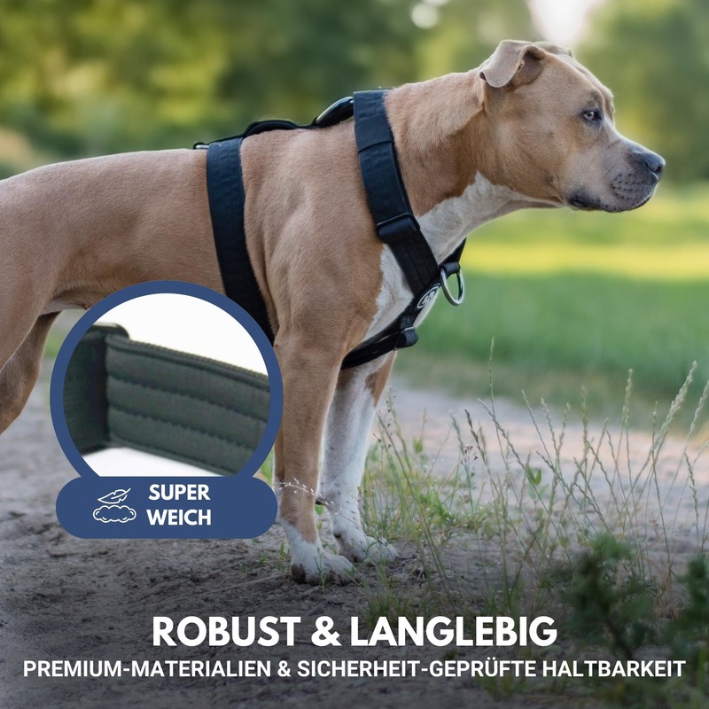 Spark Paws Large Dog Harness without Pull, Holder Design with