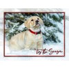 Team Husar Labrador Retriever Dog Christmas Premium Holiday 15 Cards,
