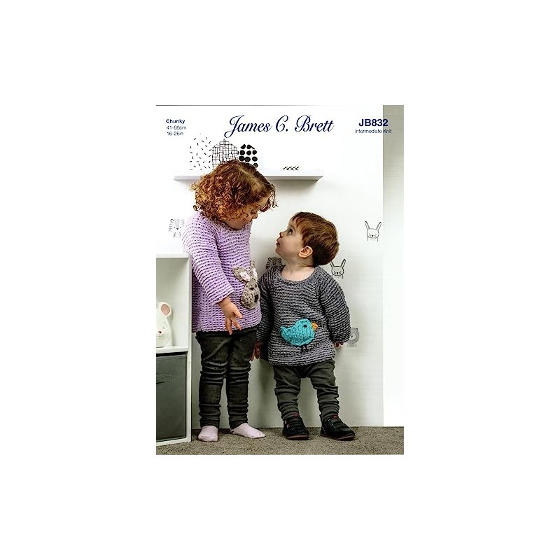 James C Brett Chunky Knitting Pattern for Childrens Bird or