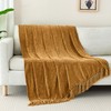 GINAMUSE Chenille Throw Blanket for Couch with Tassels,50"X60" Soft Cozy
