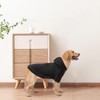 BINGPET Dog Hoodies - Fleece Lined Fall Dog Puppy Sweatshirt