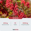 Berberine HCL Supplement High Strength - 2000mg 99% HCL by