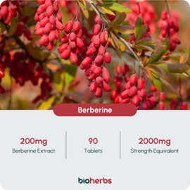Berberine HCL Supplement High Strength - 2000mg 99% HCL by BioHerbs | 90 One-Per-Day Capsules (3-Month Supply)