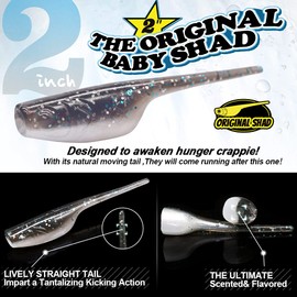 Crappie-Baits- Plastics-Jig-Heads-Kit-Shad-Fishing-Lures-for Crappie-Panfish-Bluegill-20Piece Kit - 15 Bodies- 5 Crappie Jig Heads